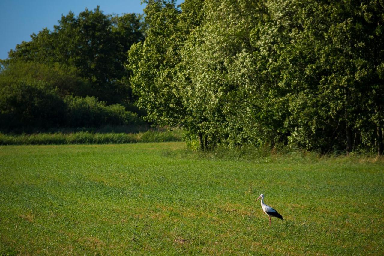 Domek Goscinny Ujście-Darłowskie Dış mekan fotoğraf